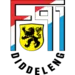 F91 Dudelange