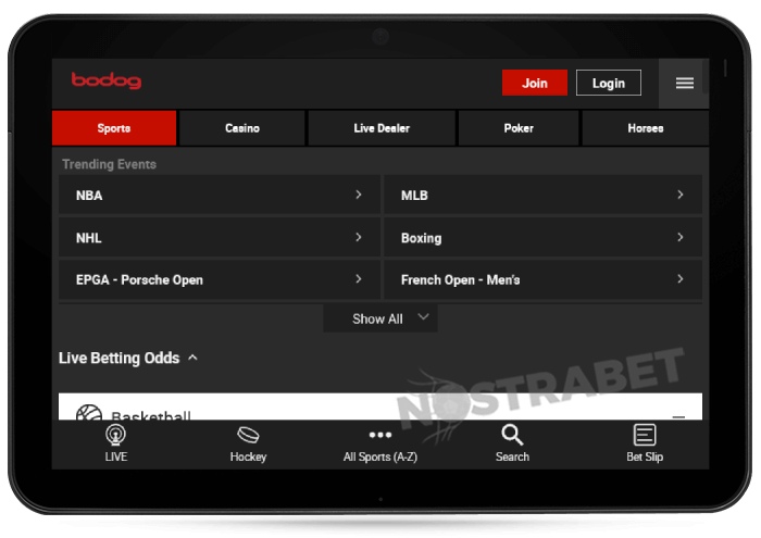 Bodog Mobile Version on Tablet